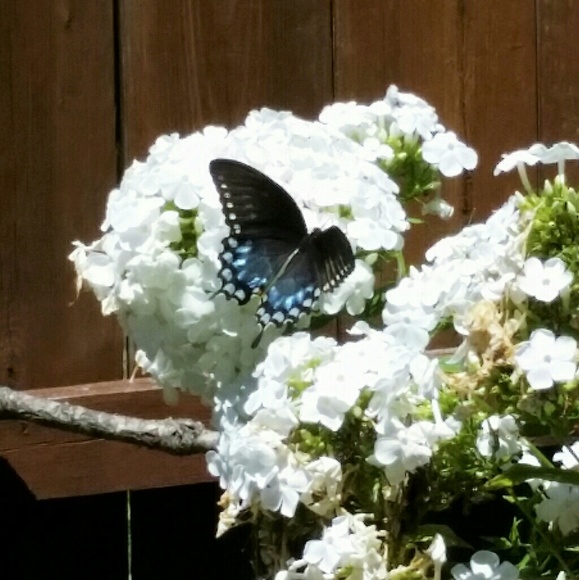 Hi, I'm Maria - Picture 6 of 7